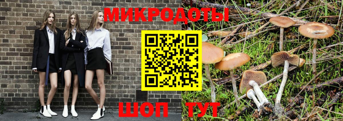 Псилоцибиновые грибы Psilocybe  Вход с VPN  Видное  Галлюциногенные грибы GOLDEN TEACHER 